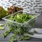 Carlisle Foodservice StorPlus Polycarbonate Food Pan, 8.7 qt, 10.38 x 12.75 x 6, Clear, Plastic 10222B07 - alternate 4